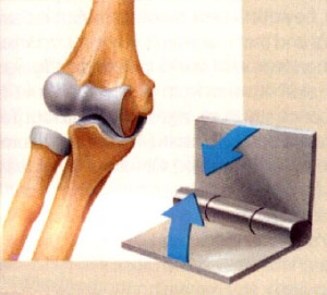 knee hinge